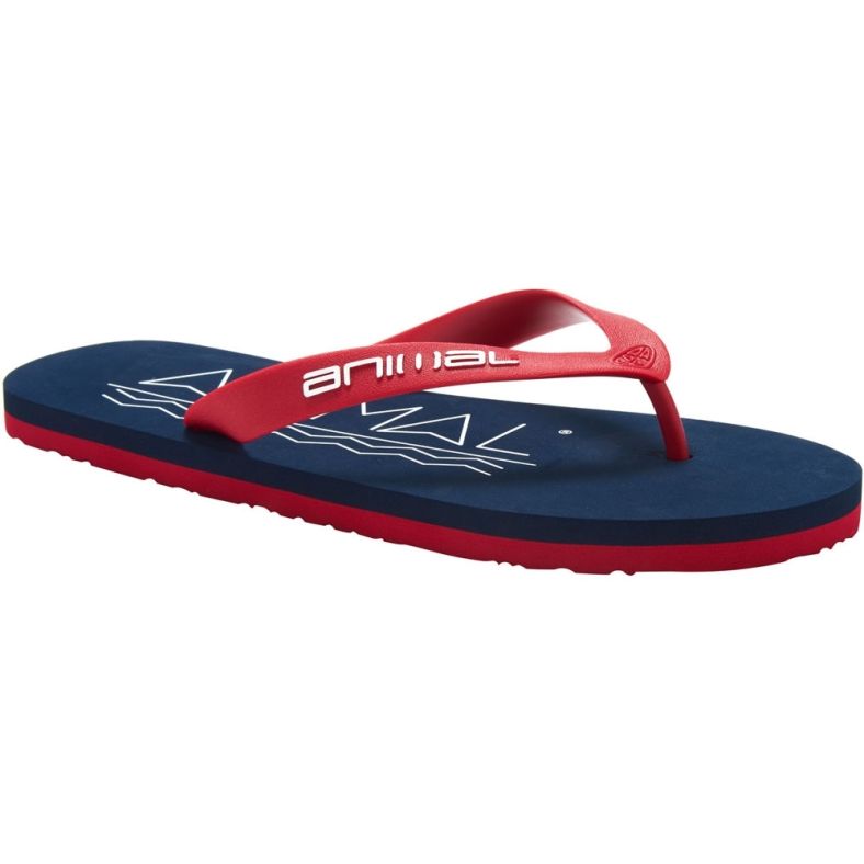 Animal Mens Costaz Logo Moulded Comfort EVA Footbed Flip Flop Sandals | Outdoor Look Animal Mens Costaz Logo Moulded Comfort EVA Footbed Flip Flop Sandals | Outdoor Look