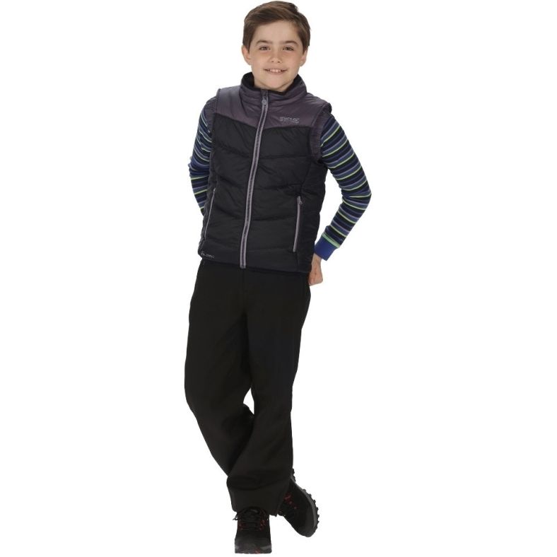 regatta icebound iii