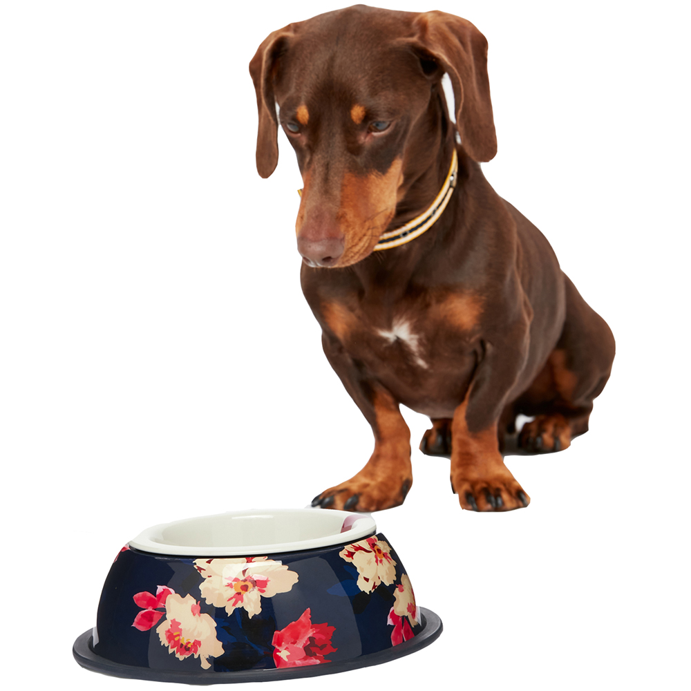 Joules Dog Bircham Non Slip Stainless Steel Dog Bowl One Size