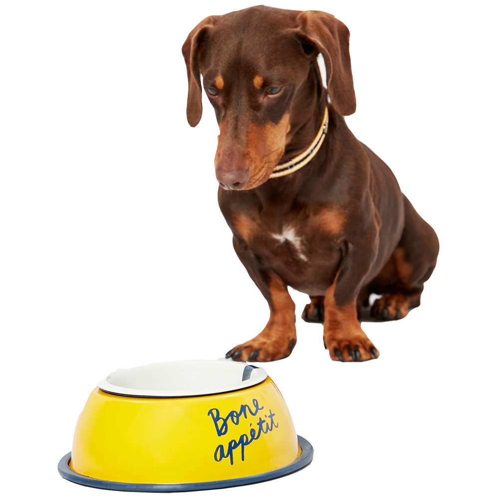 Joules Dog Bone Apetite’ Non Slip Stainless Steel Dog Bowl One Size