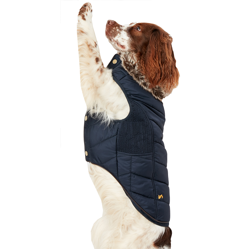dog padded coat