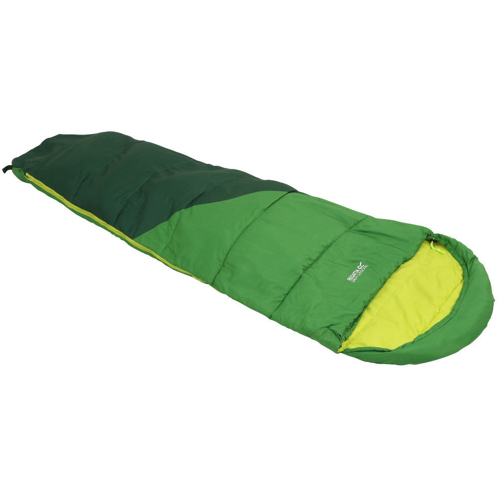 Regatta Mens Hilo V2 250 Soft Touch Mummy Sleeping Bag One Size