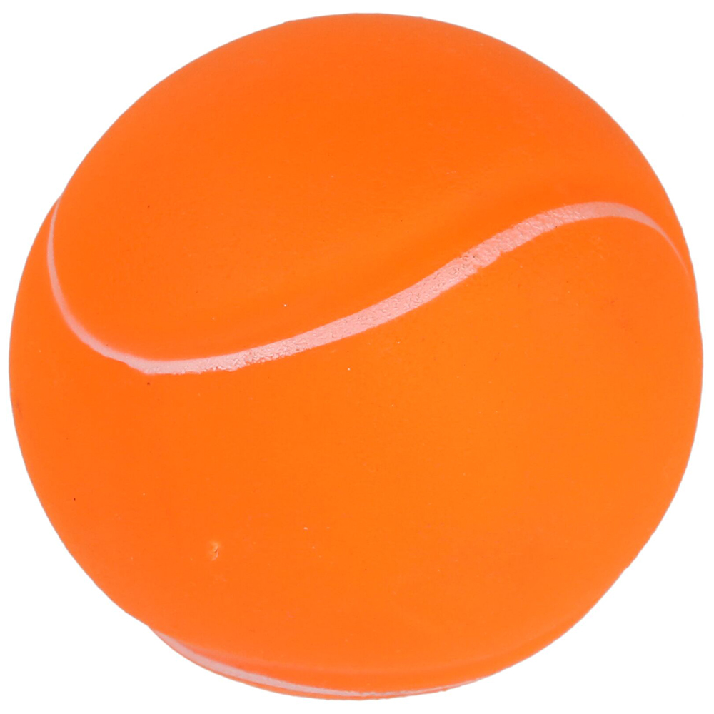 Regatta Vinyl Hardwearing Squeaker Dog Ball Toy One Size