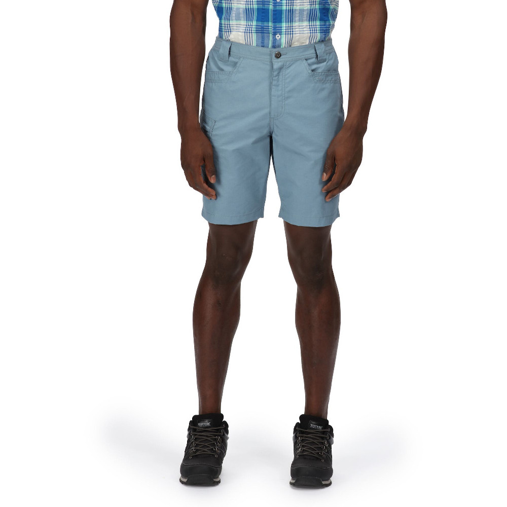 Regatta Mens Delgado Cotton Elasticated Walking Shorts 38 - Waist 38’ (96.5cm), Inside Leg 32’