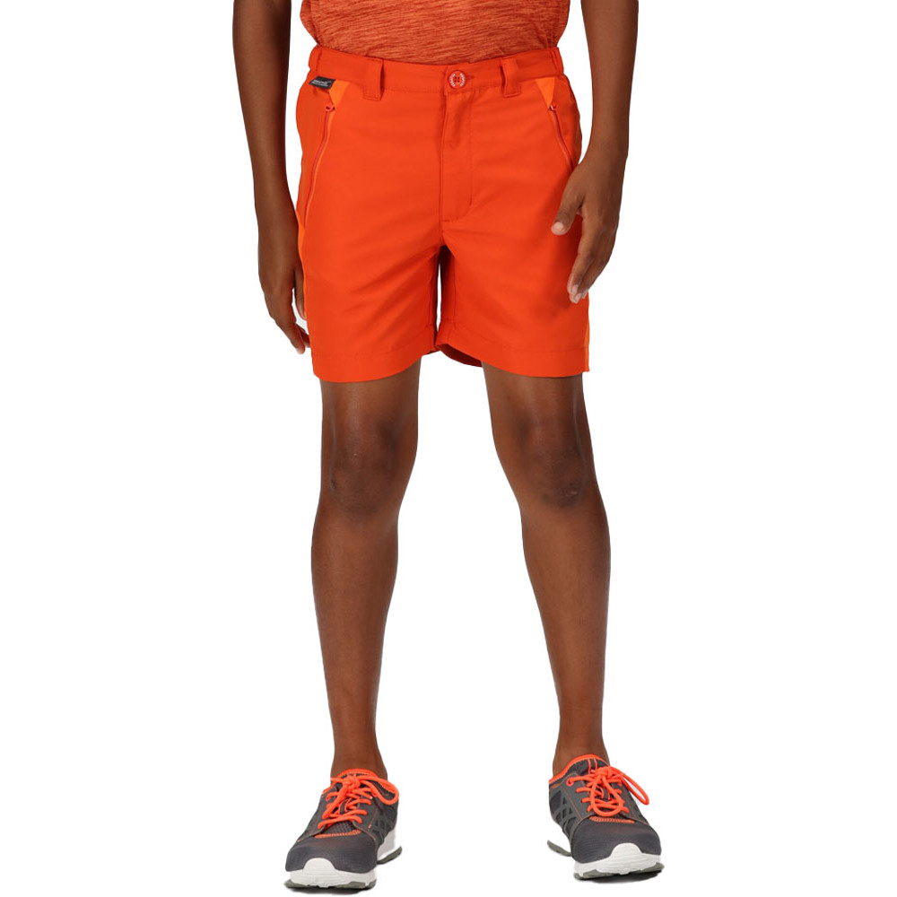 Product image of Regatta Boys Sorcer Mountain III Quick Dry Walking Shorts 15-16 Years