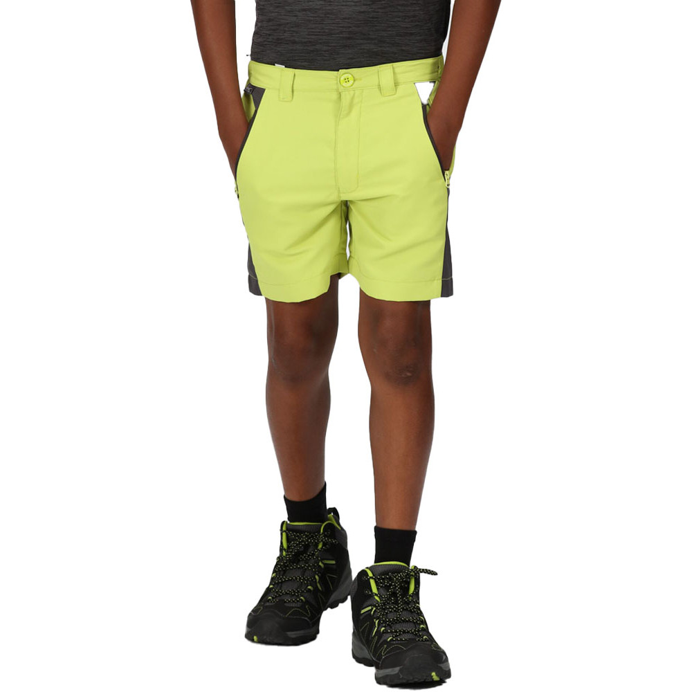Product image of Regatta Boys Sorcer Mountain III Quick Dry Walking Shorts 15-16 Years