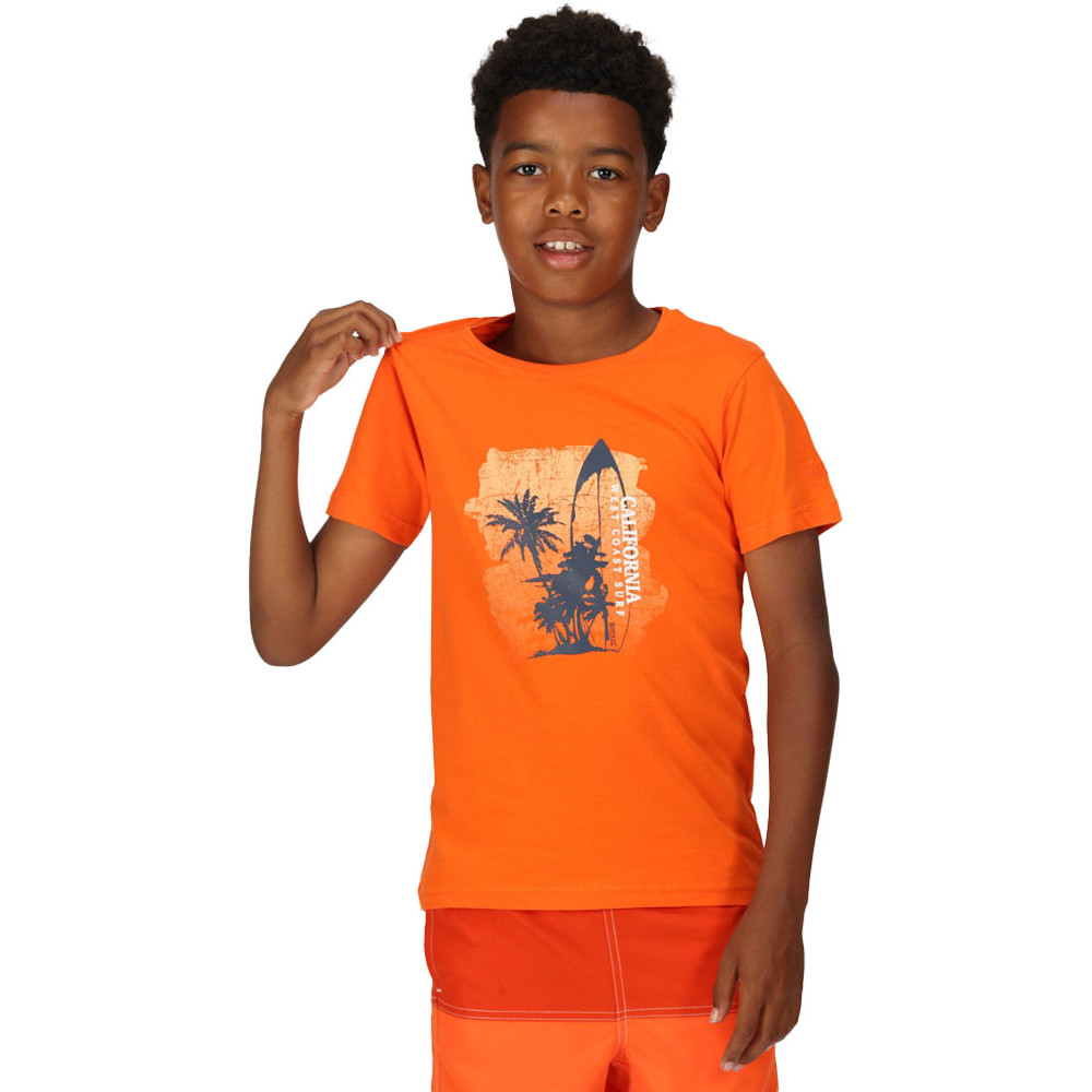 Product image of Regatta Boys Bosley VI Short Sleeve Graphic T Shirt 14-15 Years - Chest 86-89cm (Height 164-170cm)