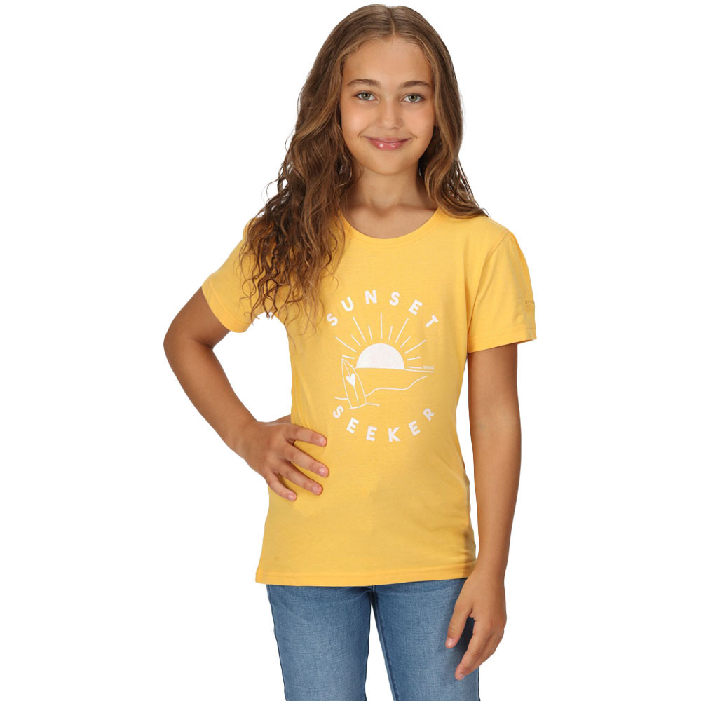 Product image of Regatta Boys Bosley VI Short Sleeve Graphic T Shirt 9-10 Years - Chest 69-73cm (Height 135-140cm)
