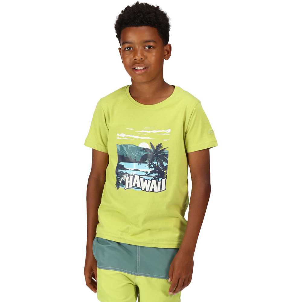 Product image of Regatta Boys Bosley VI Short Sleeve Graphic T Shirt 7-8 Years - Chest 63-67cm (Height 122-128cm)