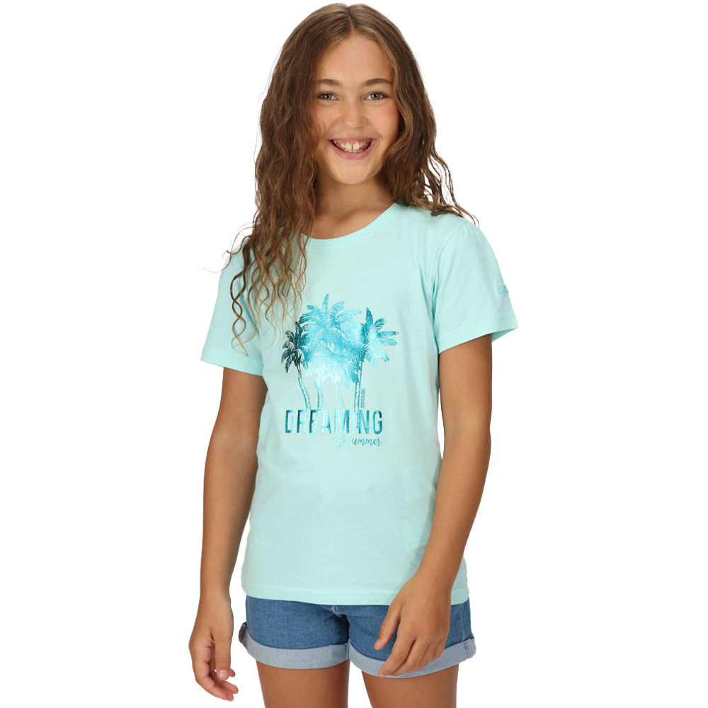Product image of Regatta Boys Bosley VI Short Sleeve Graphic T Shirt 7-8 Years - Chest 63-67cm (Height 122-128cm)