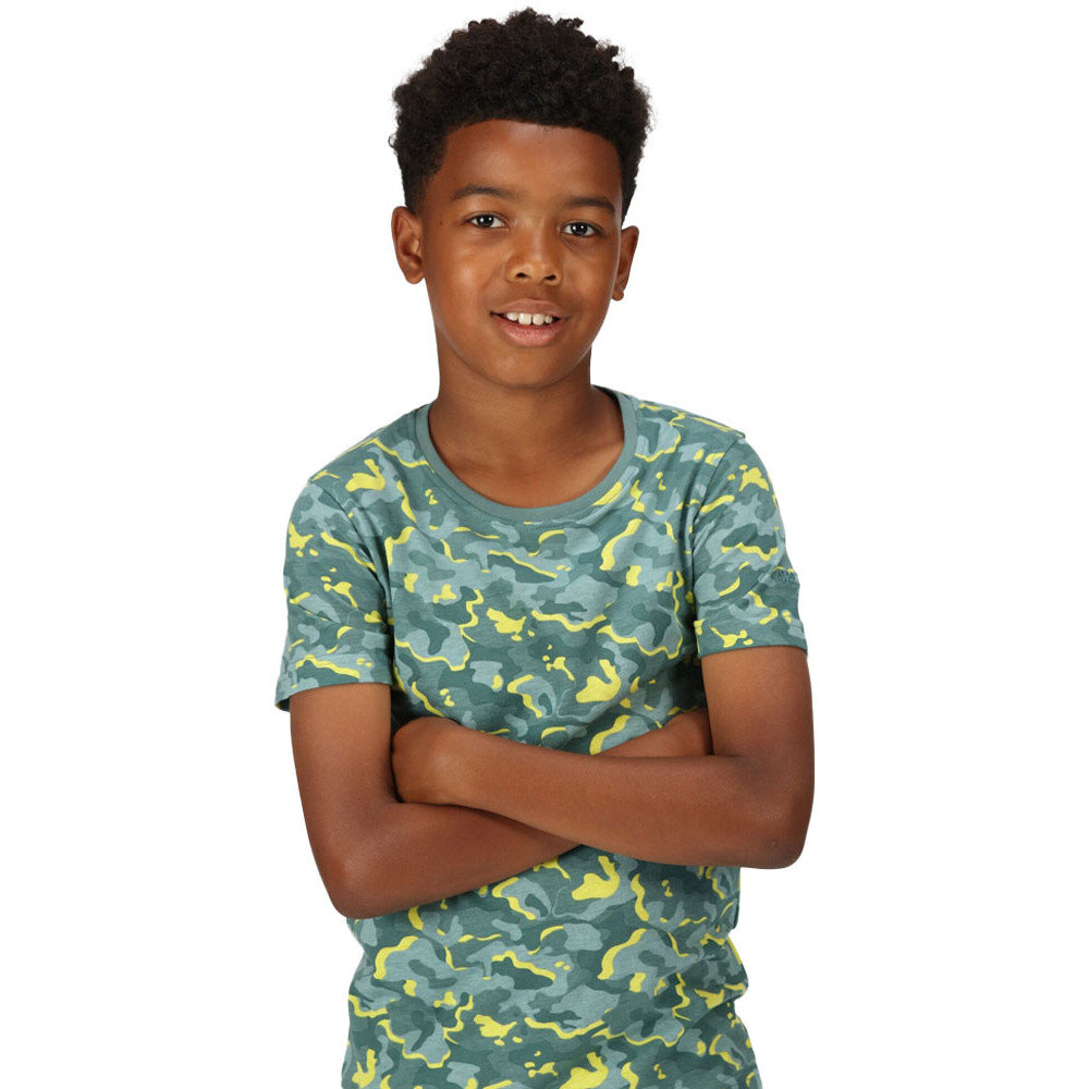 Product image of Regatta Boys Bosley VI Short Sleeve Graphic T Shirt 13 Years - Chest 79-83cm (Height 153-158cm)