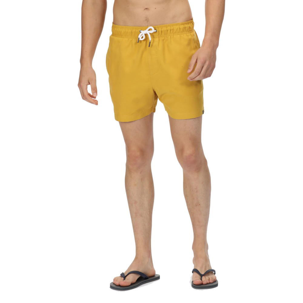 Product image of Regatta Mens Mawson III Quick Drying Swimming Shorts S- Waist 30-32' (76-81cm)