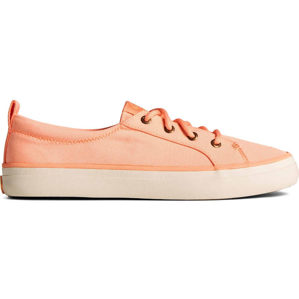 Sperry crest sales vibe chubby lace