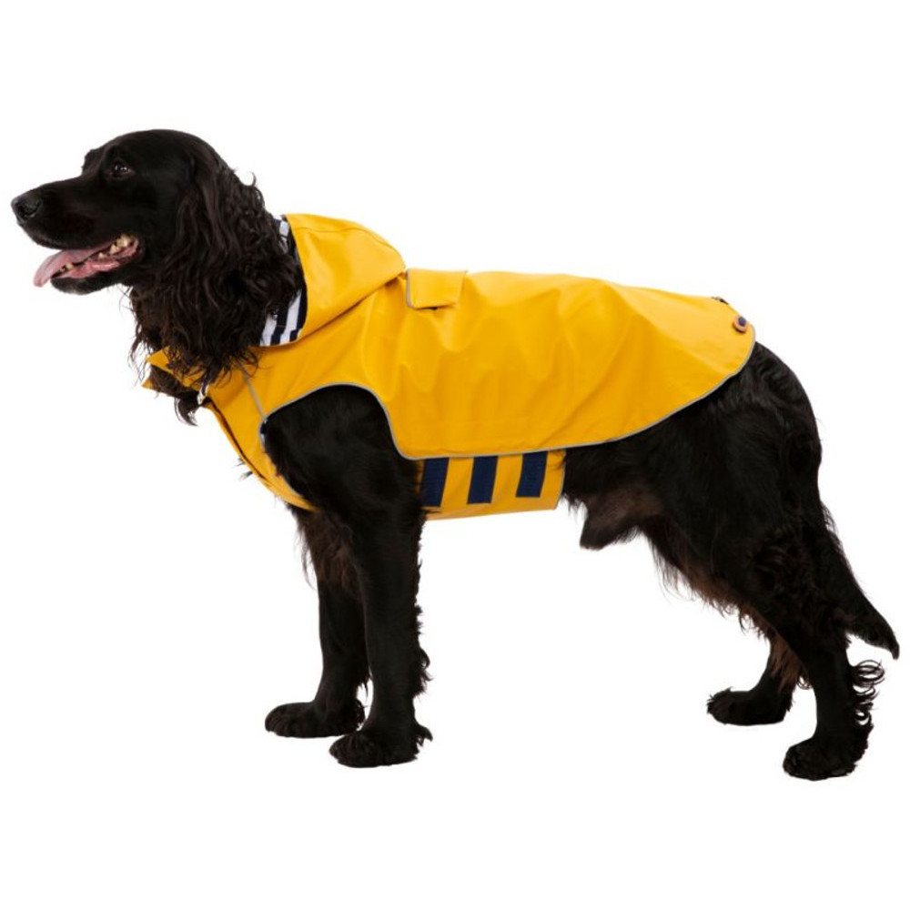 reflective dog raincoat